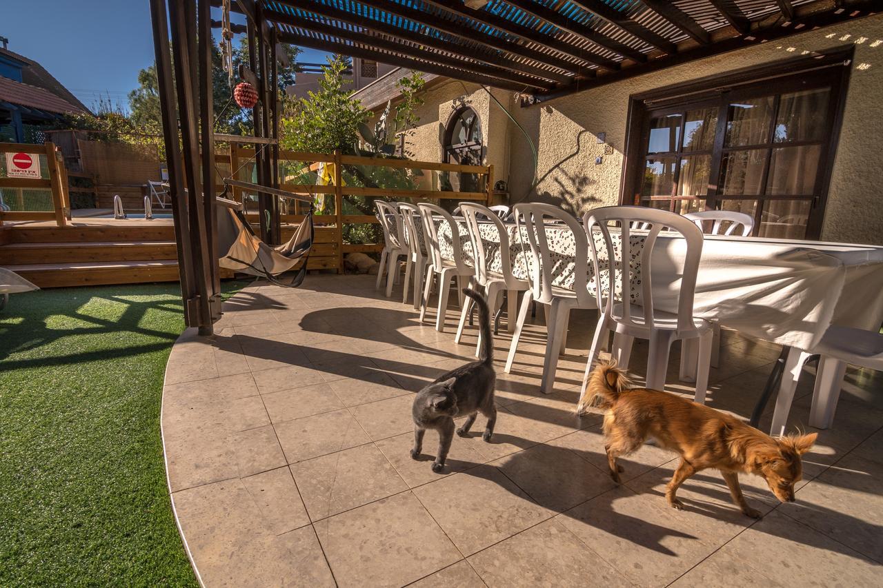 Desert Bird Guest House Arad Esterno foto