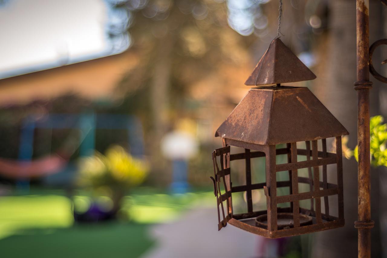 Desert Bird Guest House Arad Esterno foto